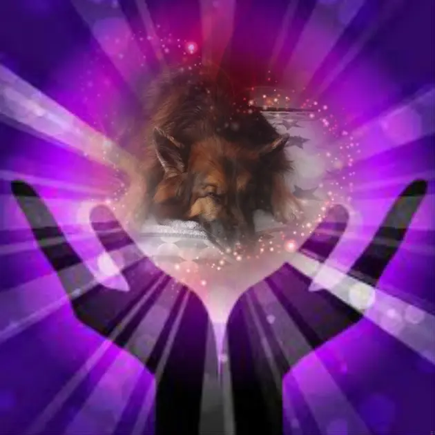 Condolence image of Dobrej Nocki❤️❤️❤️mój Ukochany❤️❤️❤️Misieńku❤️❤️❤️⭐️🫶🫶🫶💋💋💋