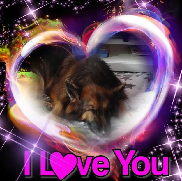 Condolence image of Dobrej Nocki❤️❤️❤️mój Ukochany❤️❤️❤️Misieńku❤️❤️❤️⭐️🐕💋💋💋🫶🫶🫶