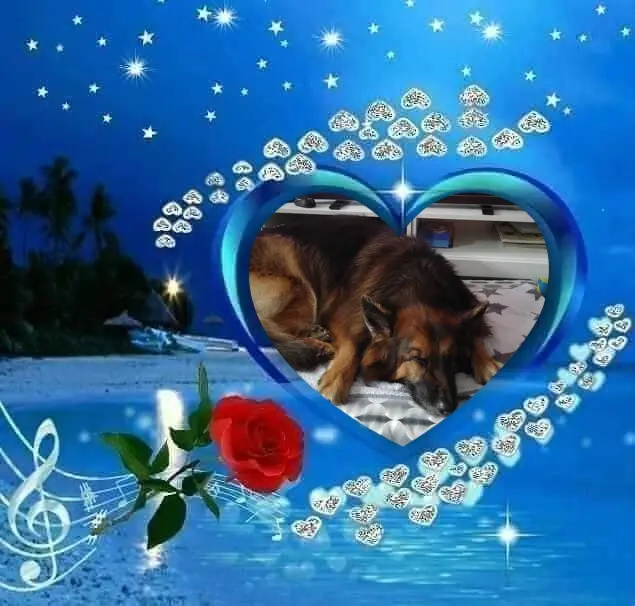 Condolence image of Dobrej Nocki❤️❤️❤️Mój Ukochany❤️❤️❤️Misieńku❤️❤️❤️⭐️🐕🫶🫶🫶💋💋💋