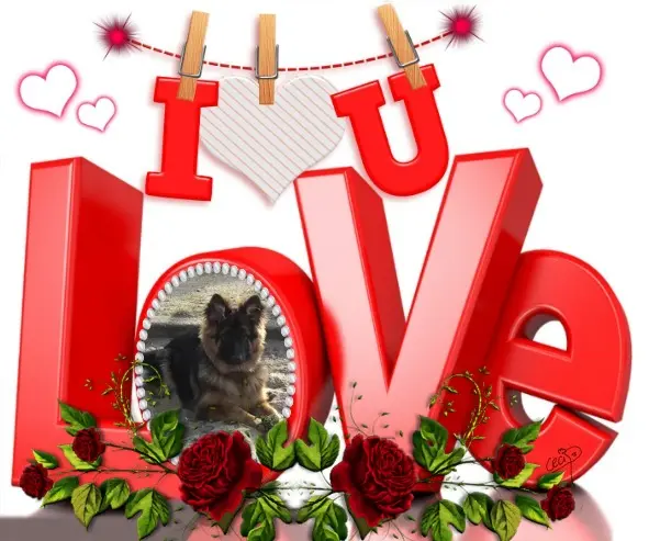 Condolence image of Dzień Dobry❤️❤️❤️mój Ukochany❤️❤️❤️Misieńku❤️❤️❤️⭐️🐕🫶🫶🫶💋💋💋