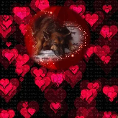 Condolence image of Dobrej Nocki❤️❤️❤️mój Ukochany❤️❤️❤️Misieńku❤️❤️❤️⭐️🐕🫶🫶🫶💋💋💋
