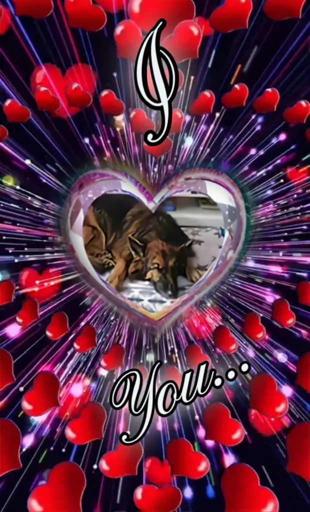 Condolence image of Dobrej Nocki❤️❤️❤️mój Ukochany❤️❤️❤️Misieńku❤️❤️❤️⭐️🐕🫶🫶🫶💋💋💋