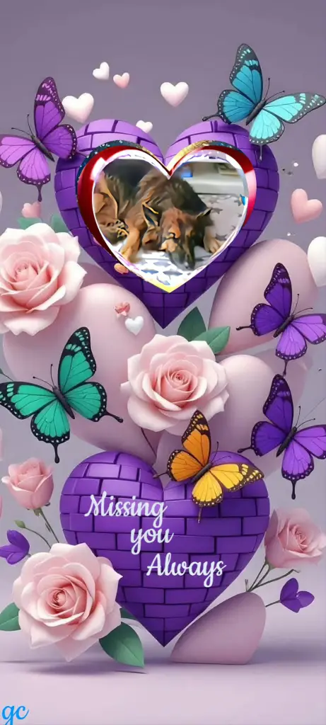 Condolence image of Dobrej Nocki❤️❤️❤️Mój Ukochany❤️❤️❤️Mińku❤️❤️❤️⭐️🐕🫶🫶🫶💋💋💋
