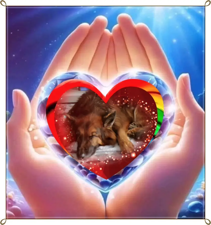 Condolence image of Dobrej Nocki❤️❤️❤️mój Ukochany❤️❤️❤️Misieńku❤️❤️❤️⭐️🐕🫶🫶🫶💋💋💋