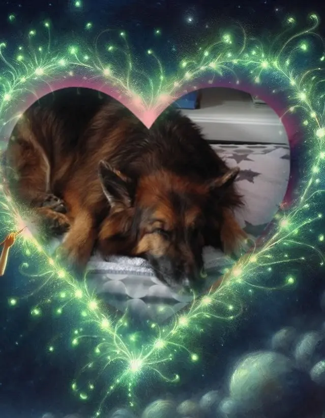Condolence image of Dobrej Nocki❤️❤️❤️mój Ukochany❤️❤️❤️Misieńku❤️❤️❤️⭐️🐕🫶🫶🫶💋💋💋