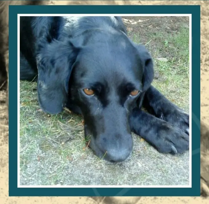 Bild von Afra