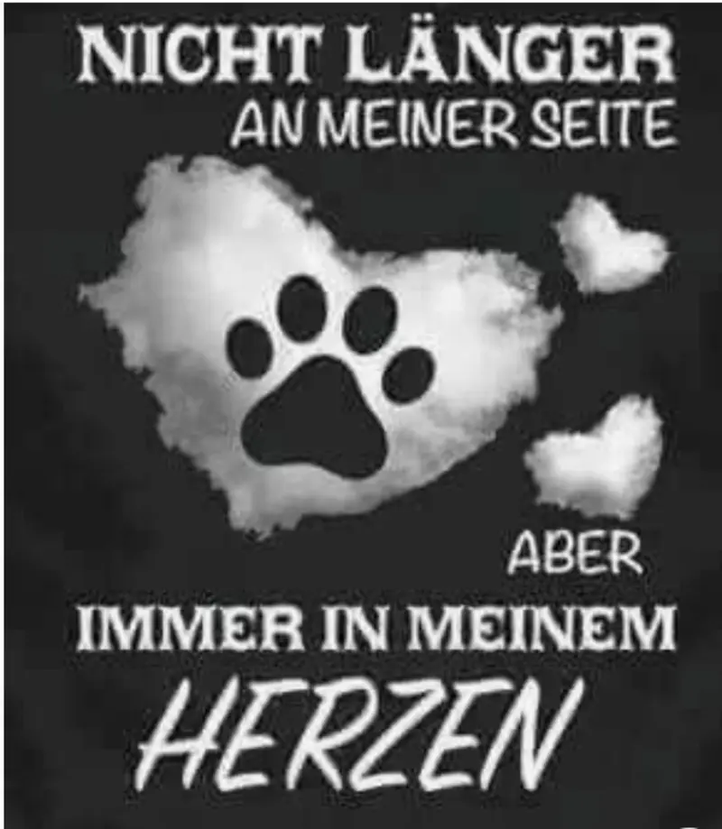 Condolence image of Mandy mit Pischo ganz tief im Herzen