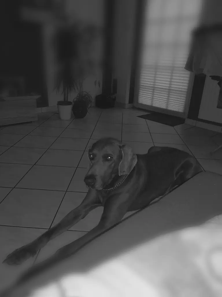 Image from Jack