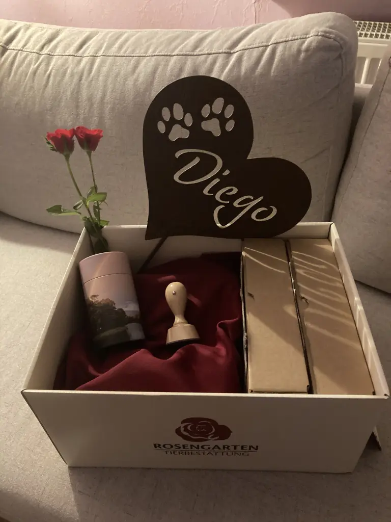 Image from Diego