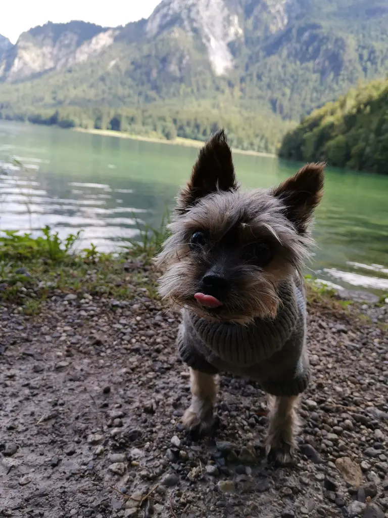 Image from Lucky