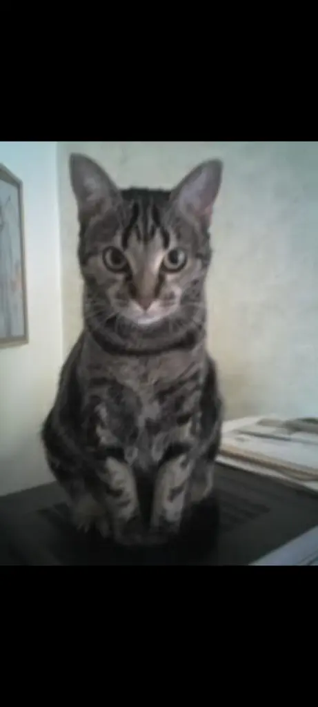 Condolence image of Ulrike