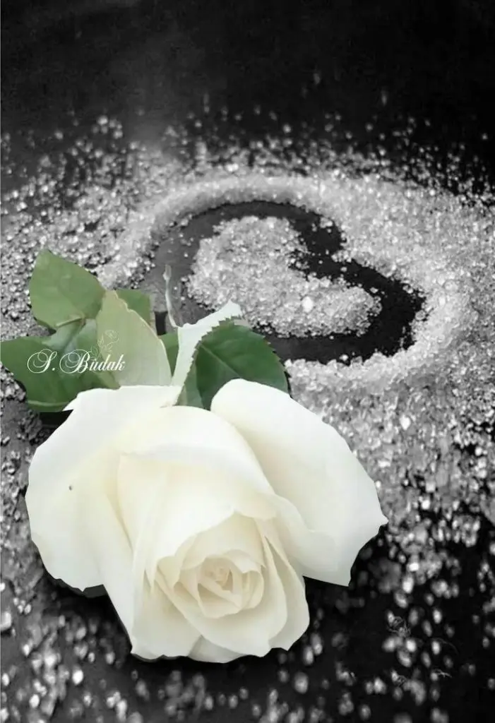 Condolence image of Unbekannt