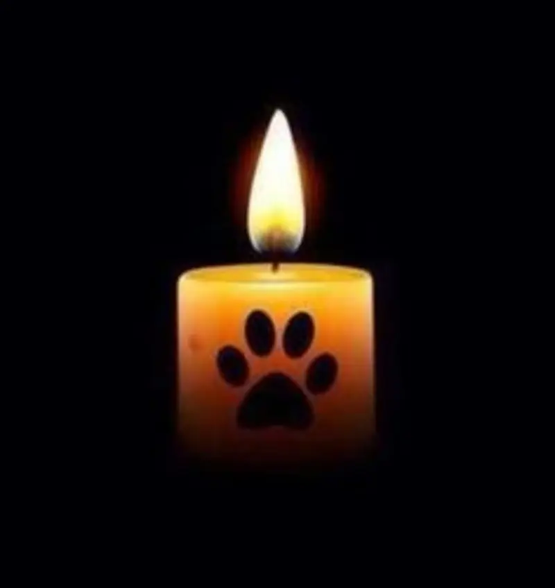 Andachtsbild von Tanja mit Timmy im Herzen