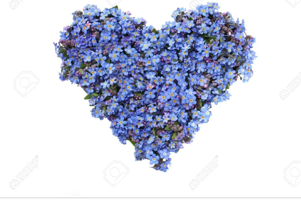 Andachtsbild von Andrea mit Mausi im Herzen