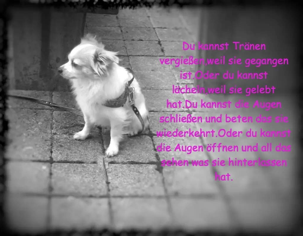 Andachtsbild von Norbert mit Seelenhund Sue