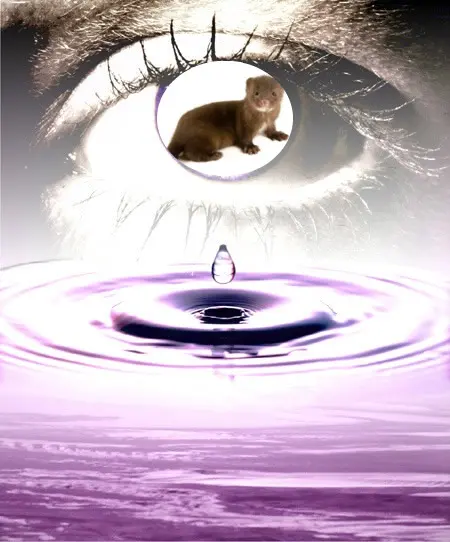 Andachtsbild von ❤️❤️❤️❤️❤️❤️❤️❤️❤️❤️❤️❤️❤️❤️❤️