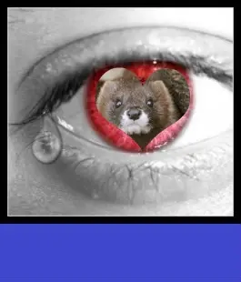 Andachtsbild von ❤️❤️❤️❤️❤️❤️❤️❤️❤️❤️❤️❤️❤️❤️❤️❤️❤️