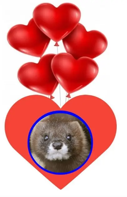 Andachtsbild von ❤️❤️❤️❤️❤️❤️❤️❤️❤️❤️❤️❤️❤️❤️❤️❤️❤️❤️❤️❤️