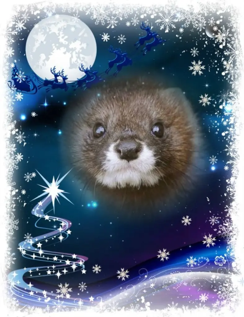 Andachtsbild von Marika mit Hippo & Balou im Herzen