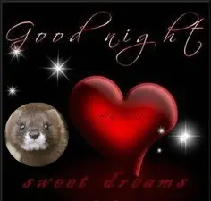 Andachtsbild von ❤️❤️❤️❤️❤️❤️❤️❤️❤️❤️❤️❤️❤️❤️❤️❤️❤️