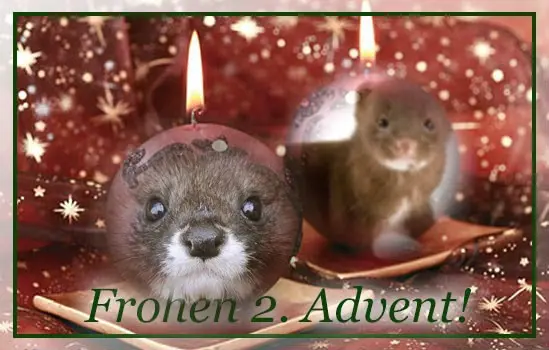 Andachtsbild von ❤️2.Advent❤️❤️