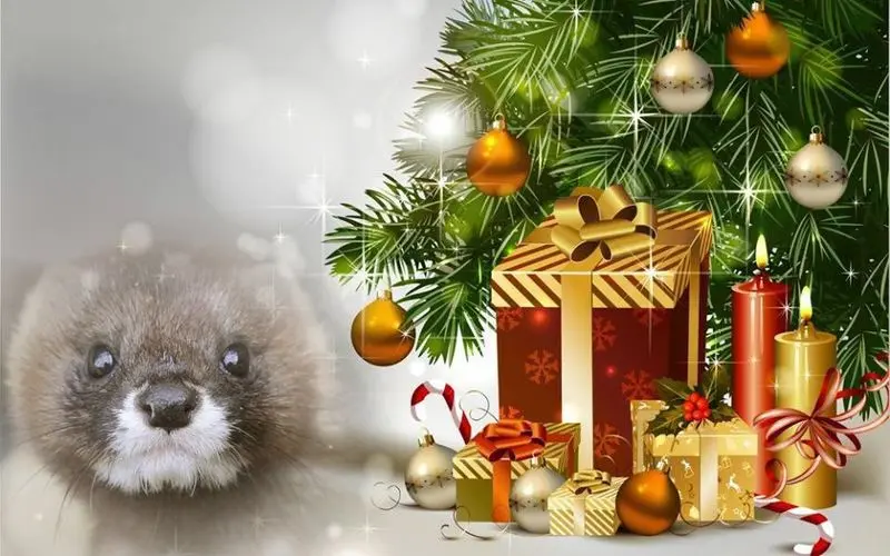 Andachtsbild von ❤️❤️❤️❤️❤️❤️❤️❤️❤️❤️❤️❤️❤️❤️❤️❤️❤️❤️❤️❤️❤️❤️❤️❤️