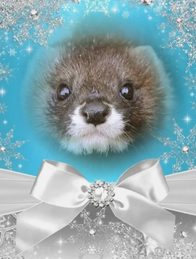 Andachtsbild von ❤️❤️❤️