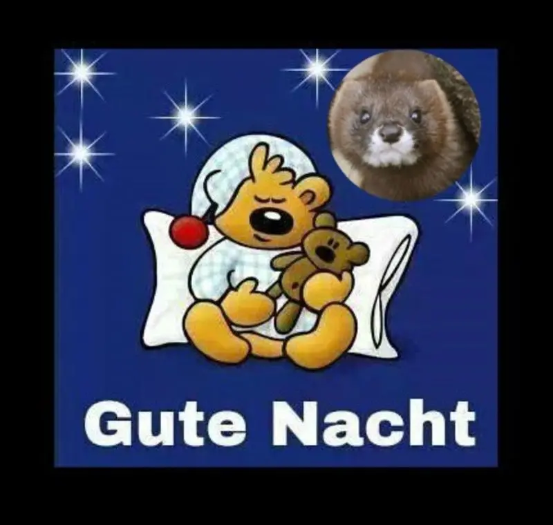 Andachtsbild von Gute Nacht❤️❤️❤️