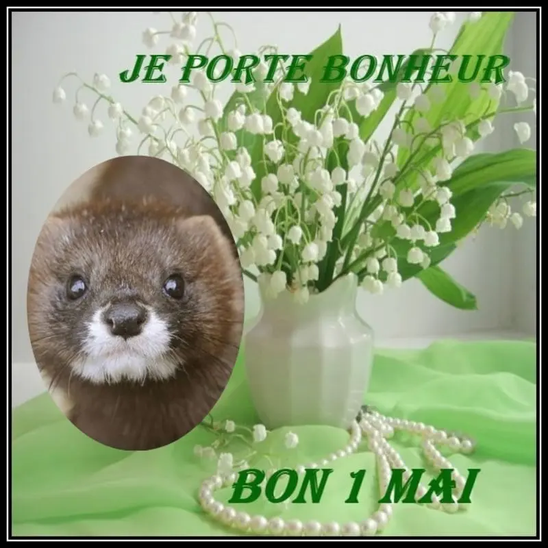 Andachtsbild von ❤️❤️❤️❤️❤️❤️❤️❤️❤️❤️❤️❤️❤️❤️