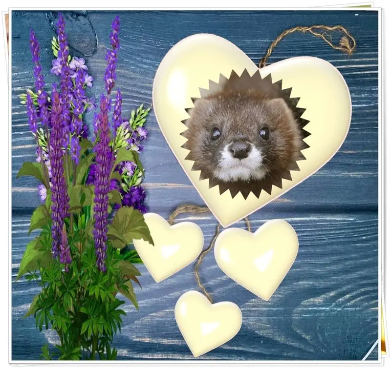 Andachtsbild von ❤️❤️❤️❤️❤️❤️❤️❤️❤️❤️❤️❤️❤️❤️