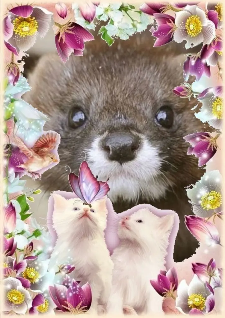 Andachtsbild von ❤️❤️❤️❤️❤️❤️❤️❤️❤️❤️❤️❤️❤️❤️