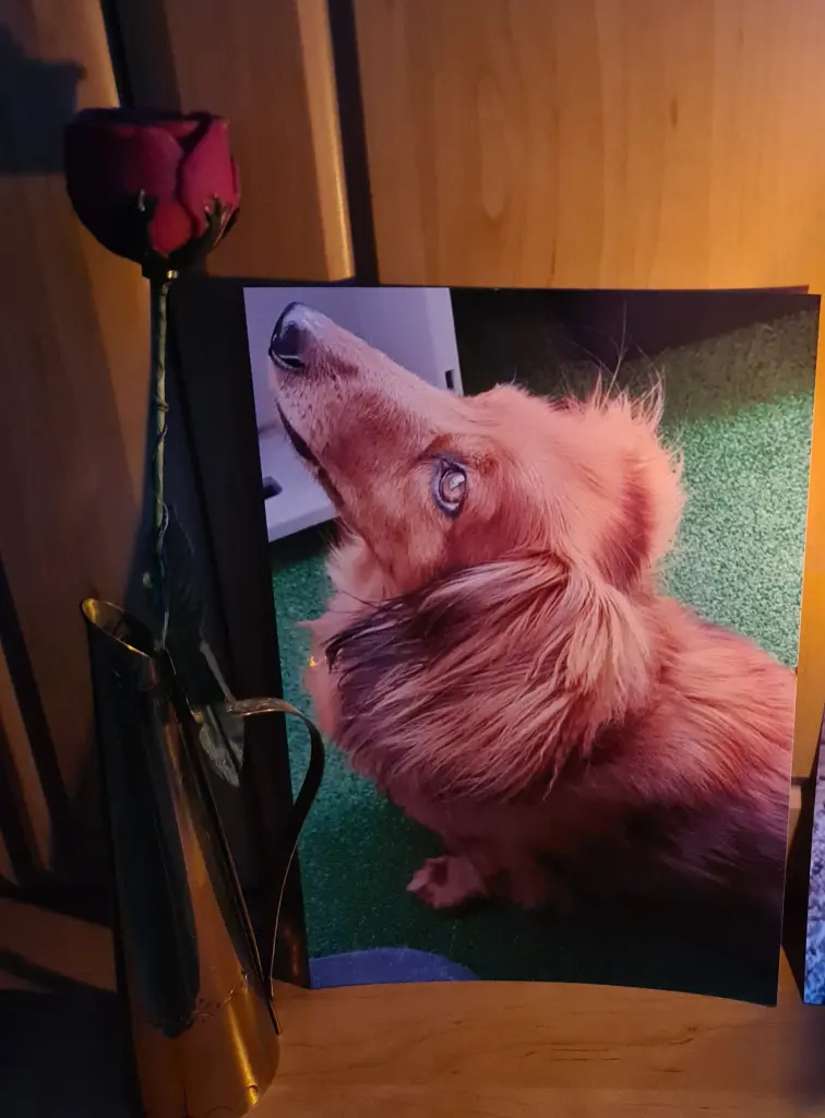 Condolence image of Deine Mama