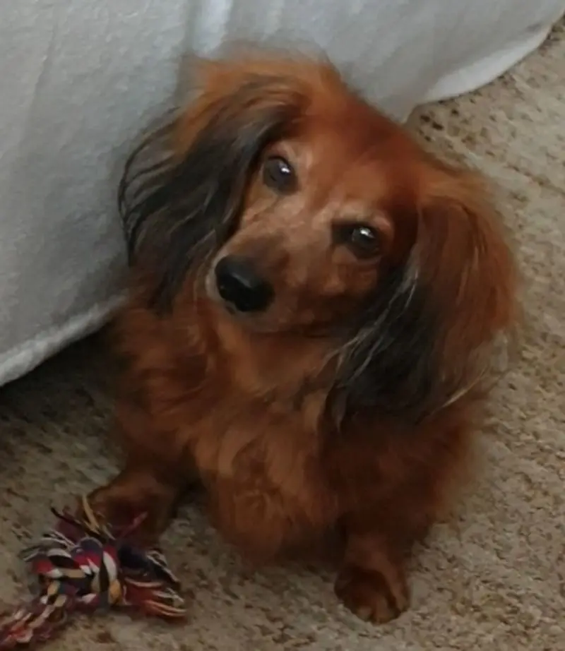 Condolence image of Deine Mama