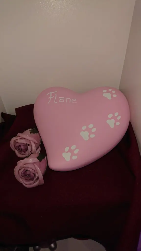 Image from Flane