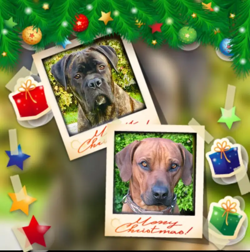 Condolence image of Britta