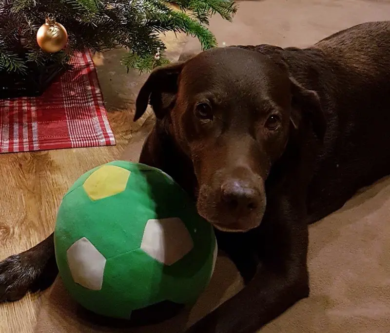 Condolence image of Silvana 