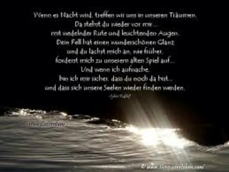 Condolence image of Rose  Jeschke 