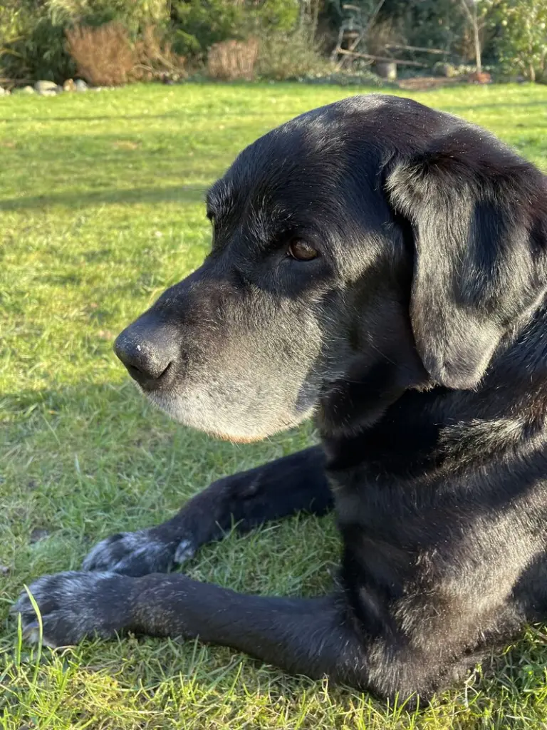 Condolence image of Annette
