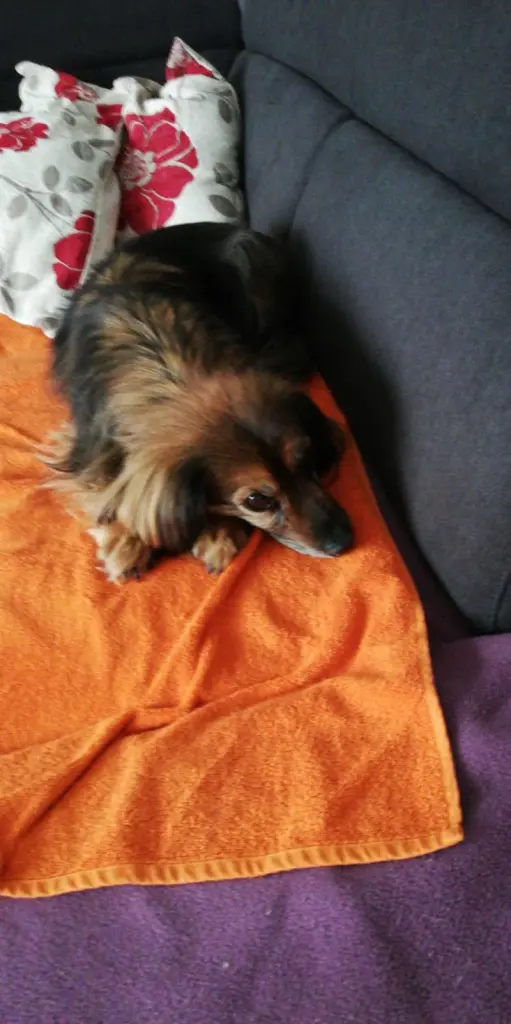 Condolence image of Angie