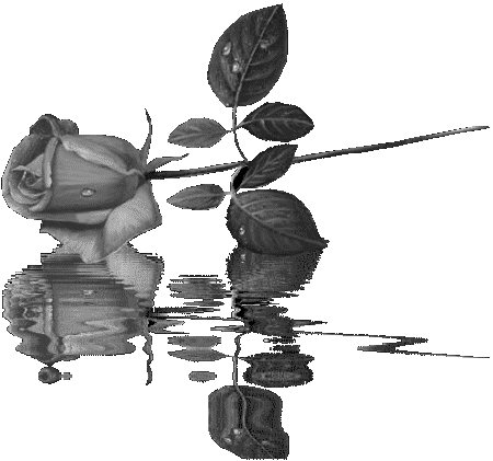 Condolence image of Gabi