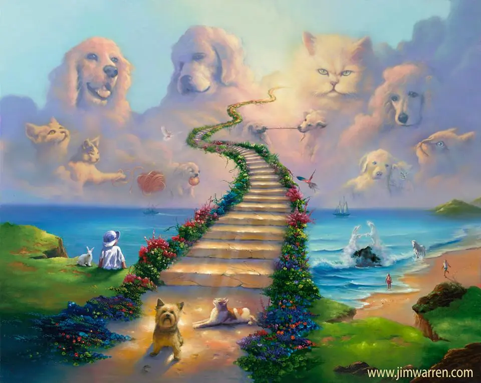 Condolence image of MARGOT