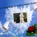 Condolence image of Hanne und Stella