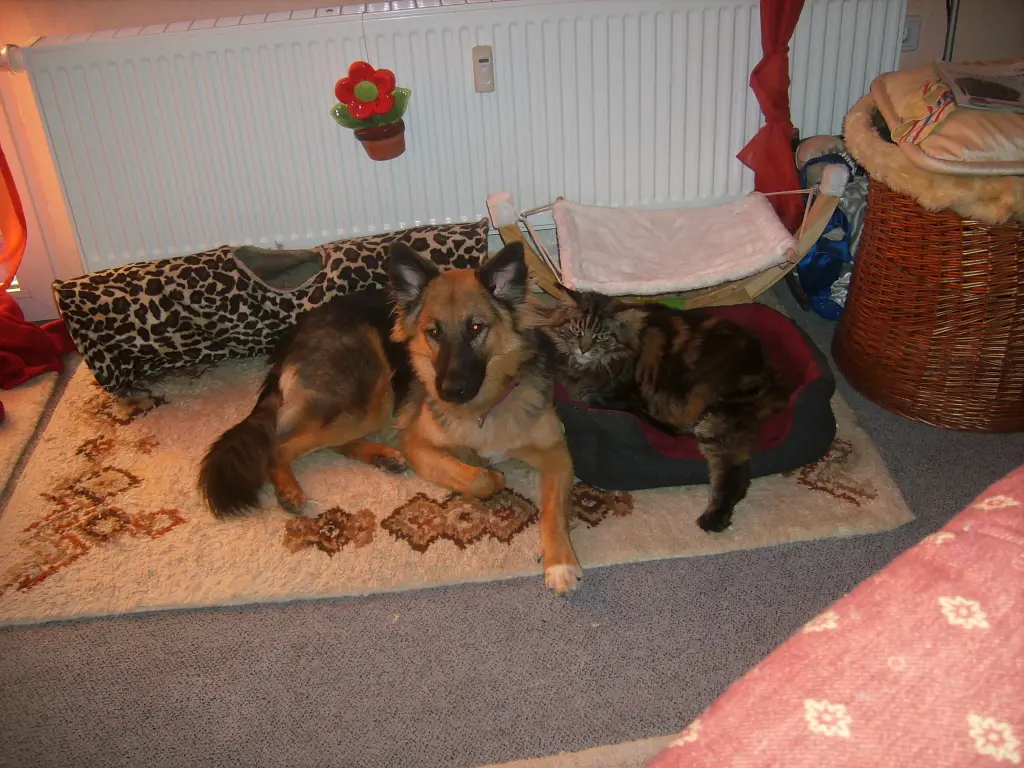 Condolence image of Ulla mit Lucy und Luzifer