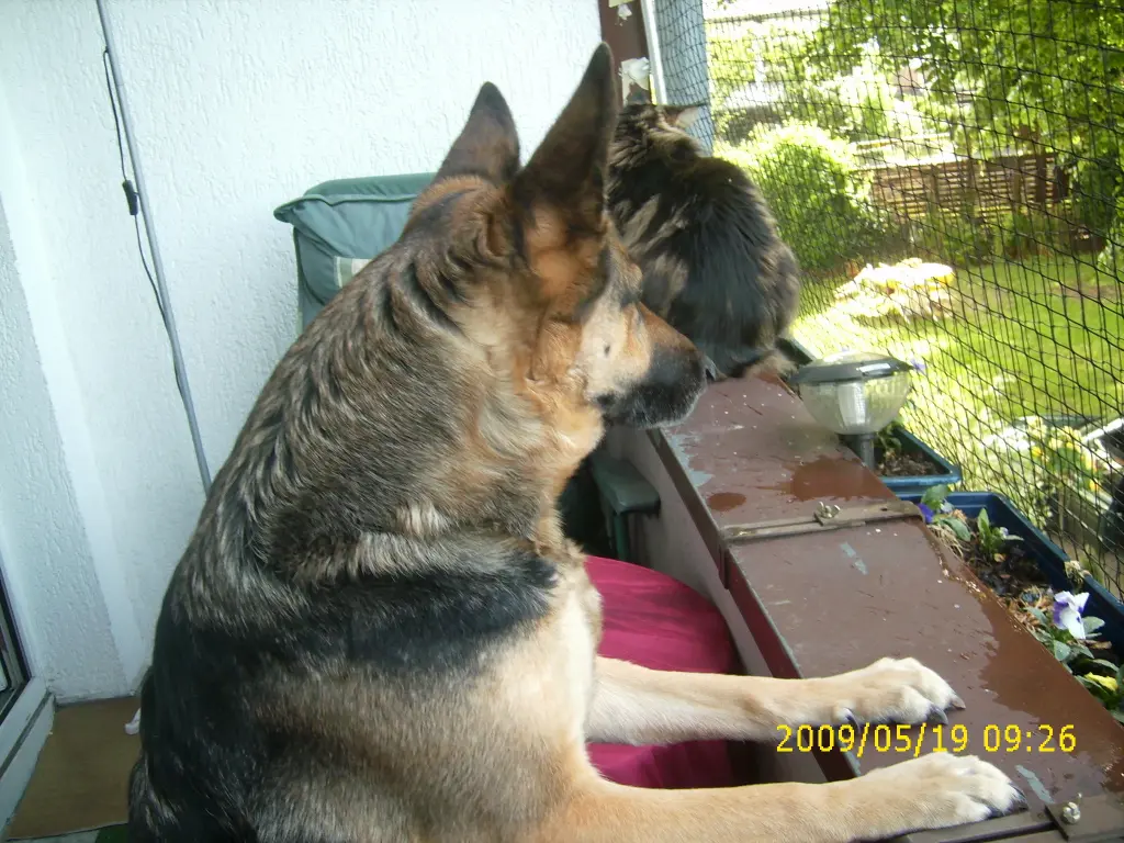 Condolence image of Ulla