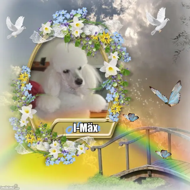 Image from I-Mäx & Lucky