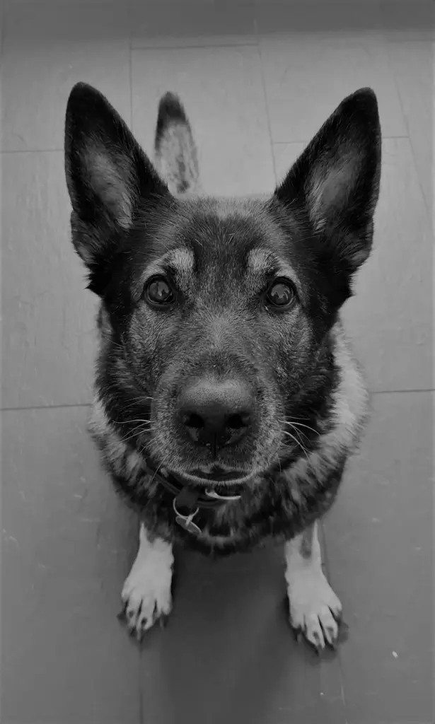 Condolence image of Karin mit Donna(wetter) im ❤️