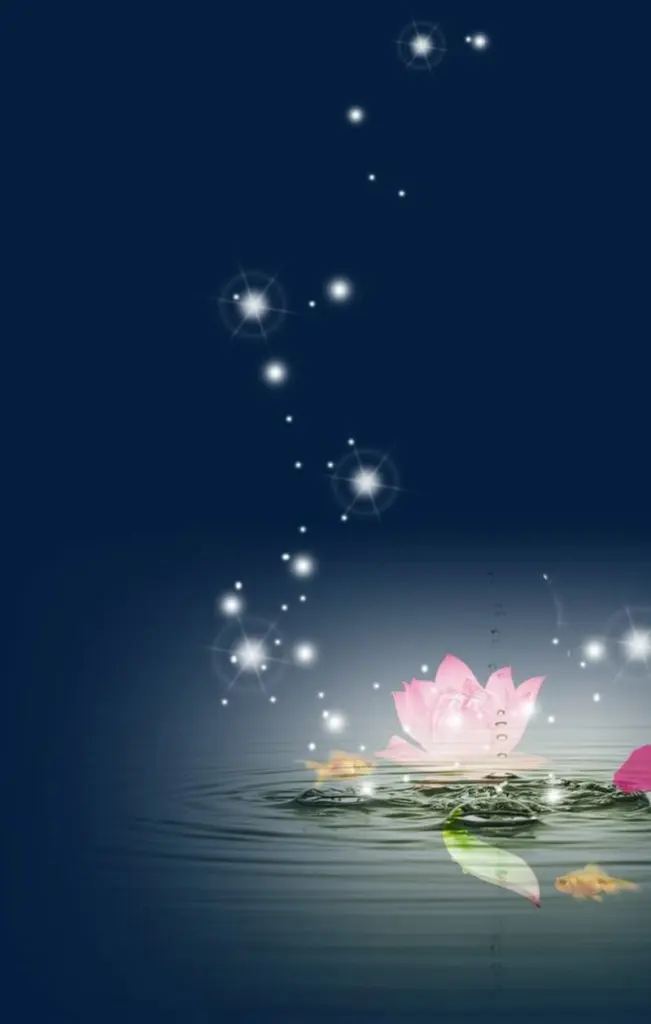 Condolence image of Unbekannt