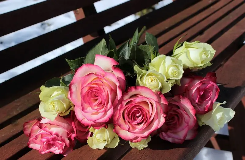 Condolence image of Unbekannt