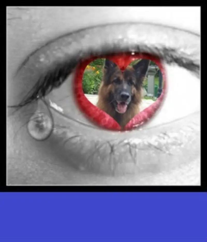 Condolence image of uwe