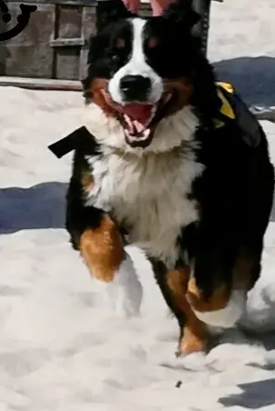 Image from Oskar